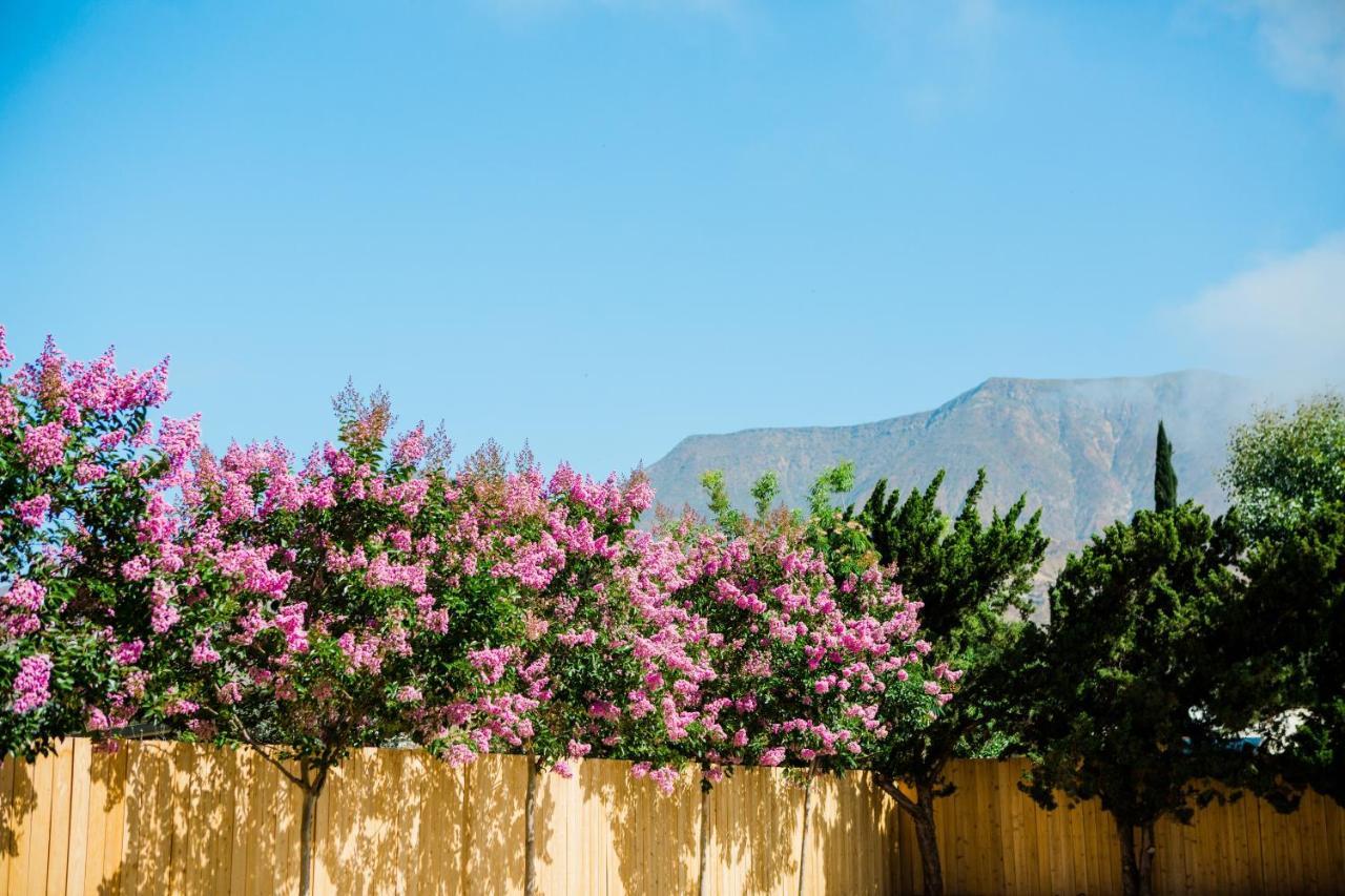 Casa Ojai Inn Dış mekan fotoğraf